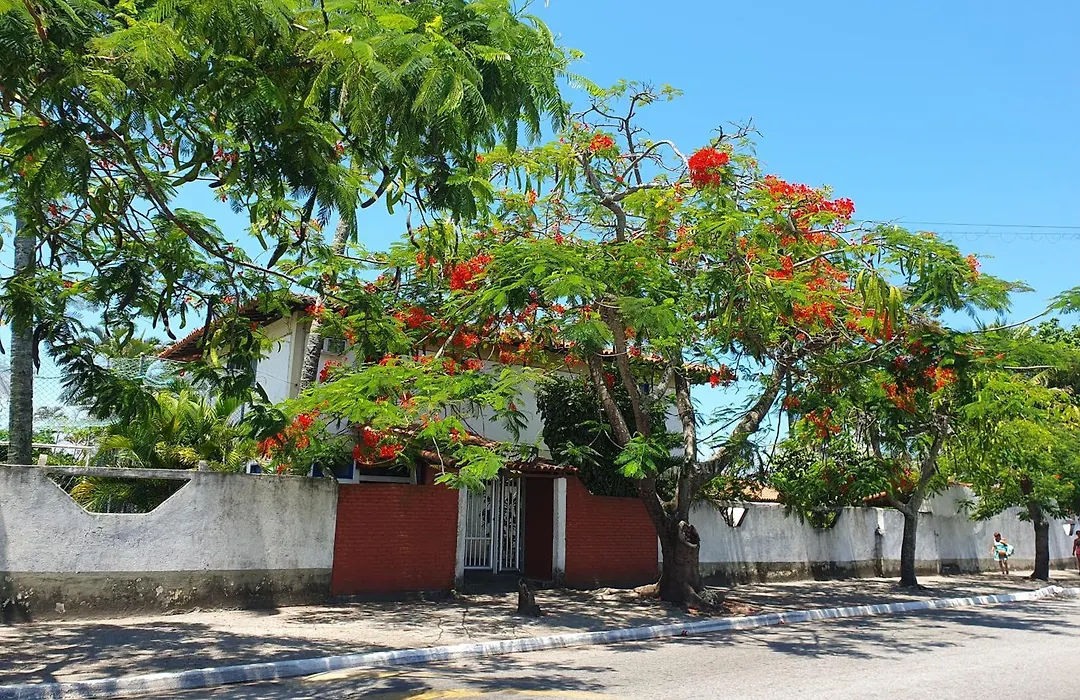 Apartamento Bangalo Cabo Frio-1